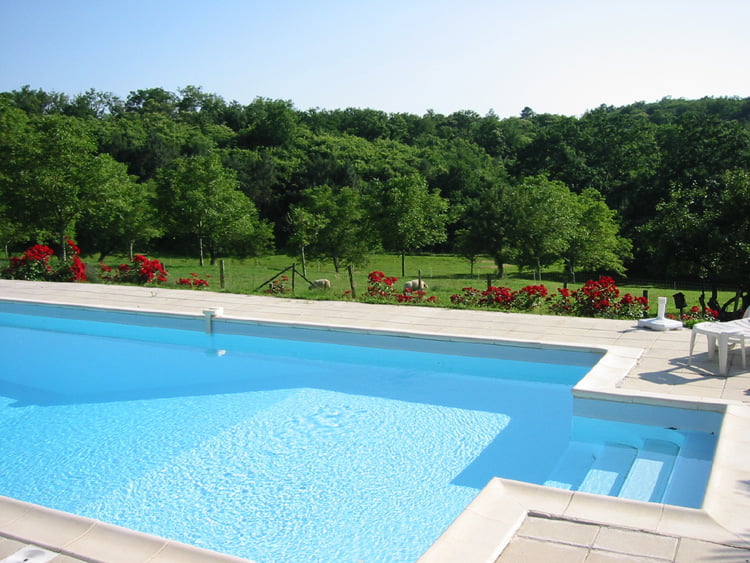 View of the pool with sheep in background View of the pool with sheep in background