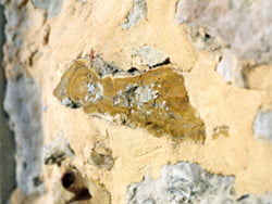 Flint in wall