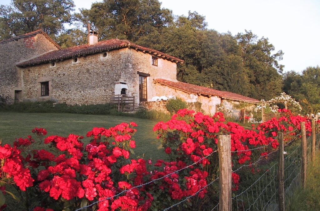 Of cherries, roses and hailstones