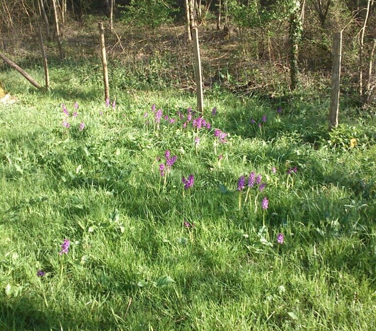 Juggling with the unpredictable