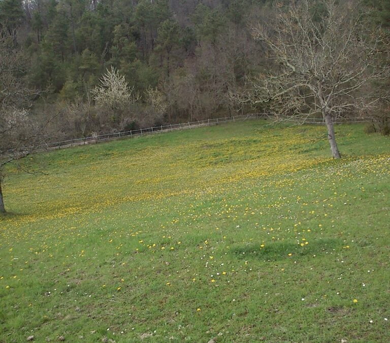 Microscopic territorial terror