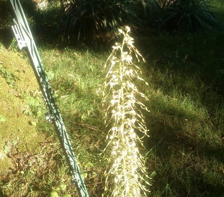 The long, wet road home