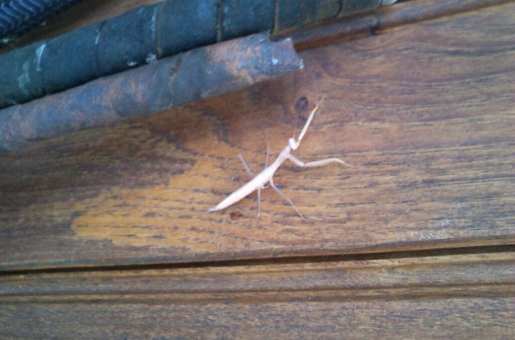 Respect the fears of others