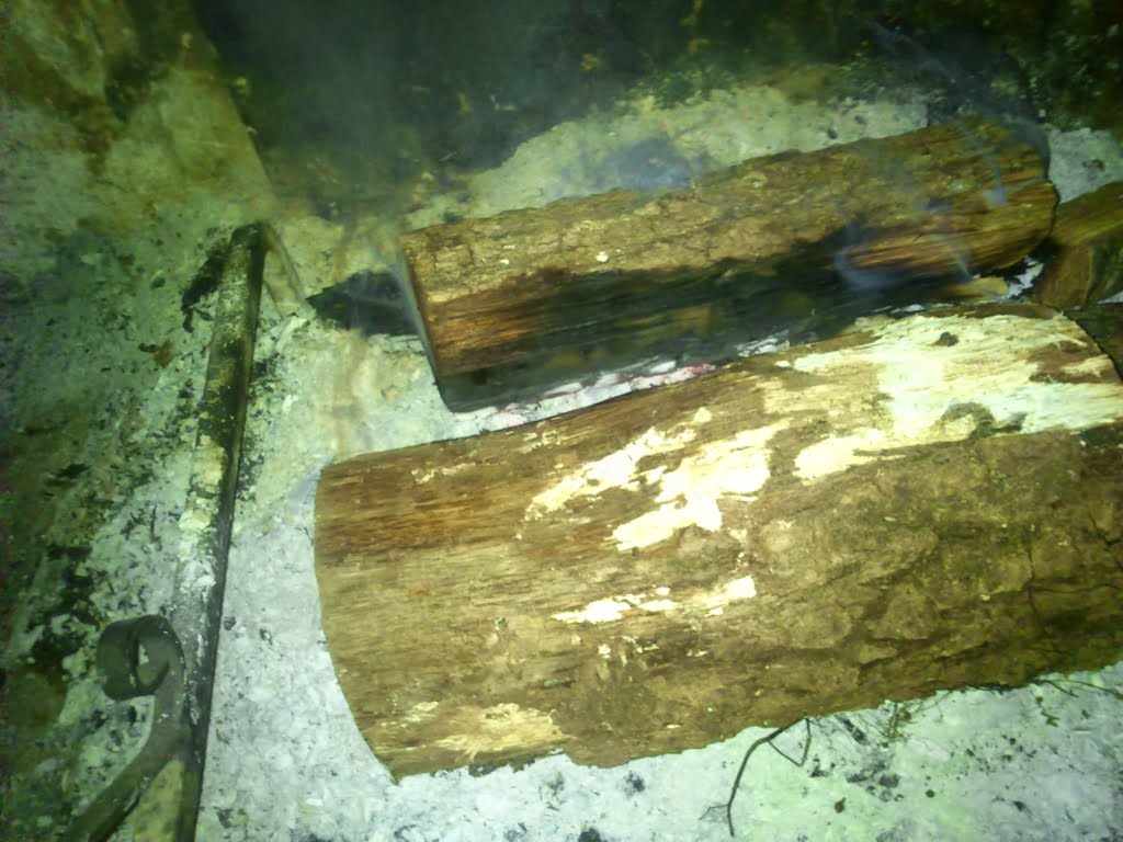 Fire in fireplace02a