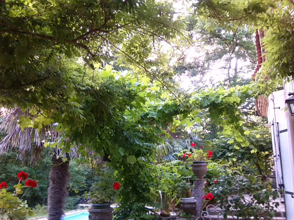 Birds in foliage01a