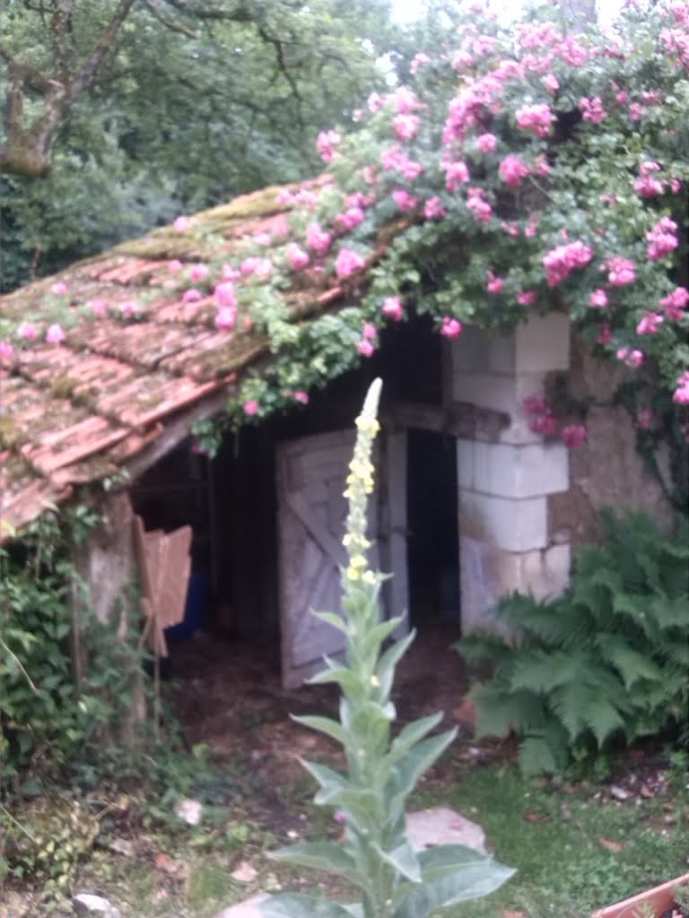 Chicken House01a