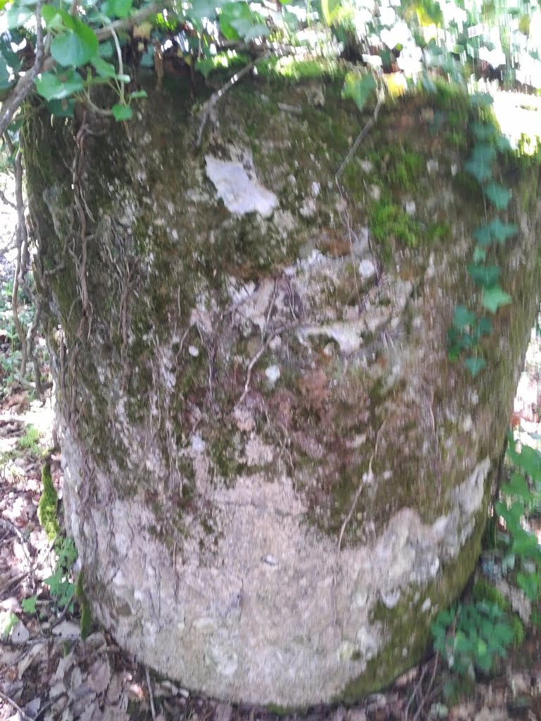 Curious Structure01a