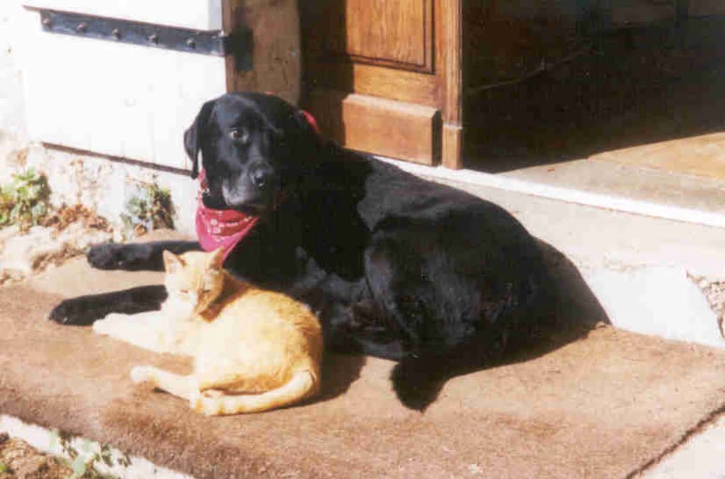 Eddie and his cat01a