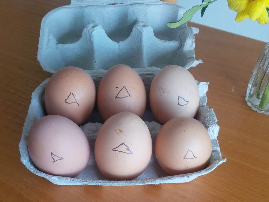 Eggs01a