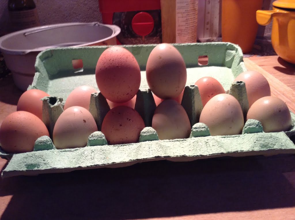 Eggs02a