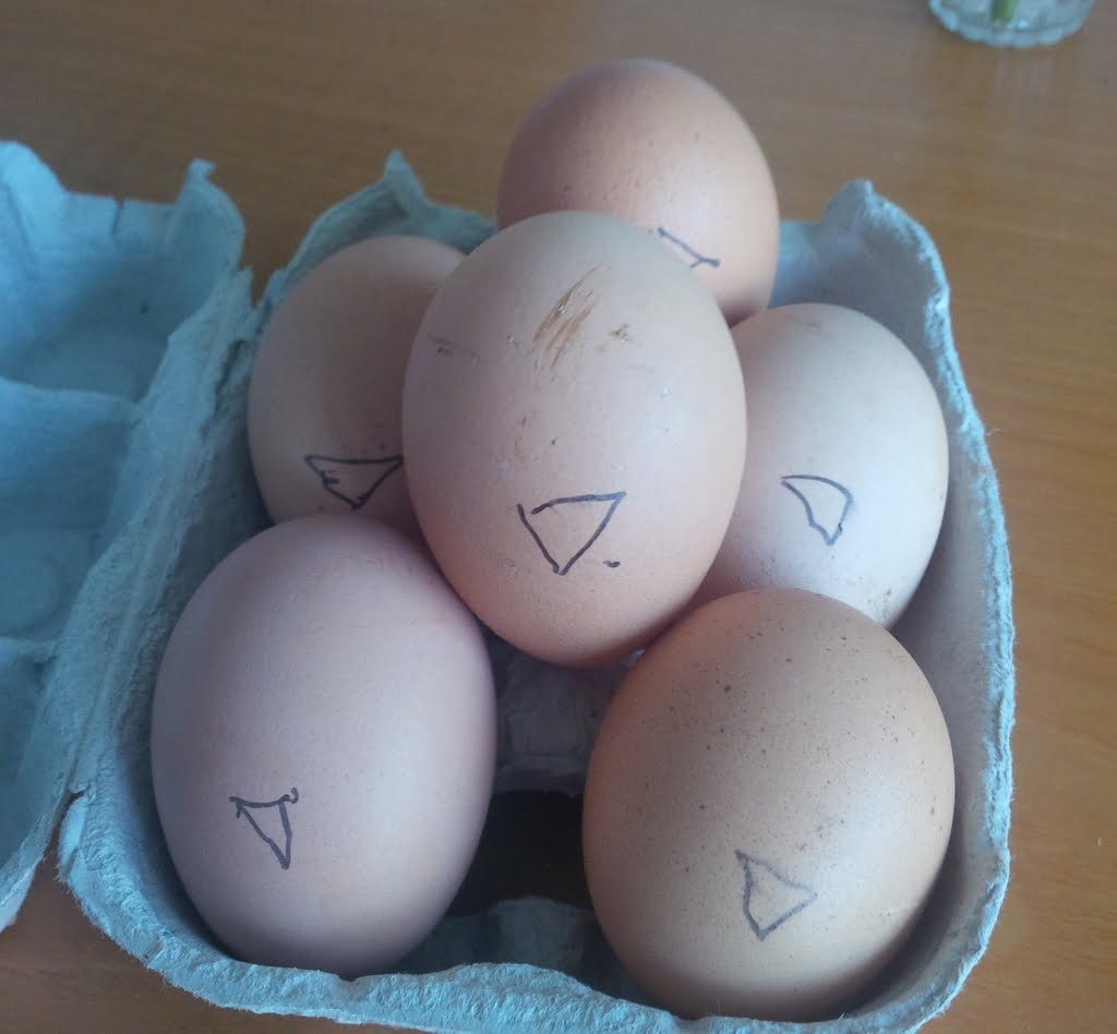 Eggs03a