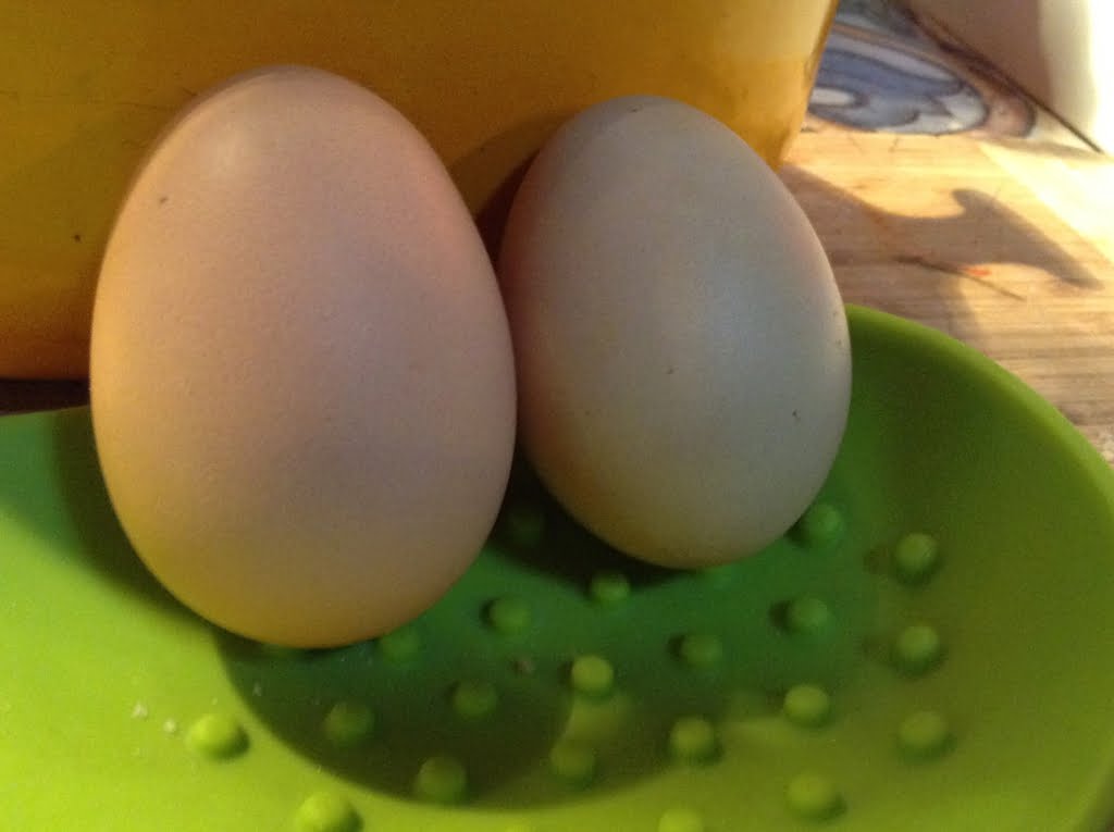 Eggs04a