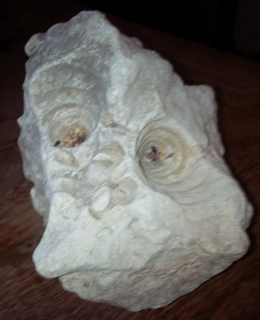 Fossil01a