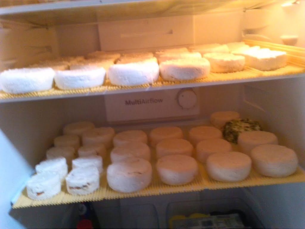 Goats cheese in fridge01a