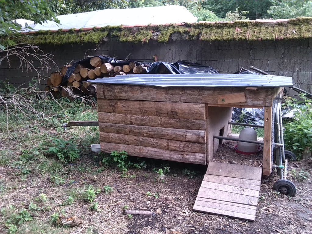 Hen-house01a