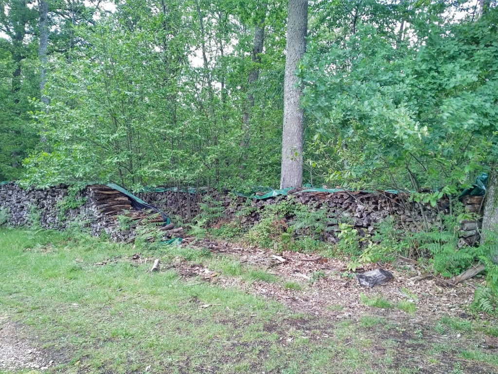 Log pile01a
