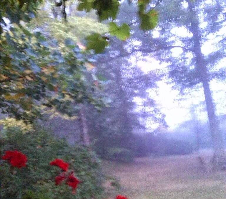 Early autumn oddities