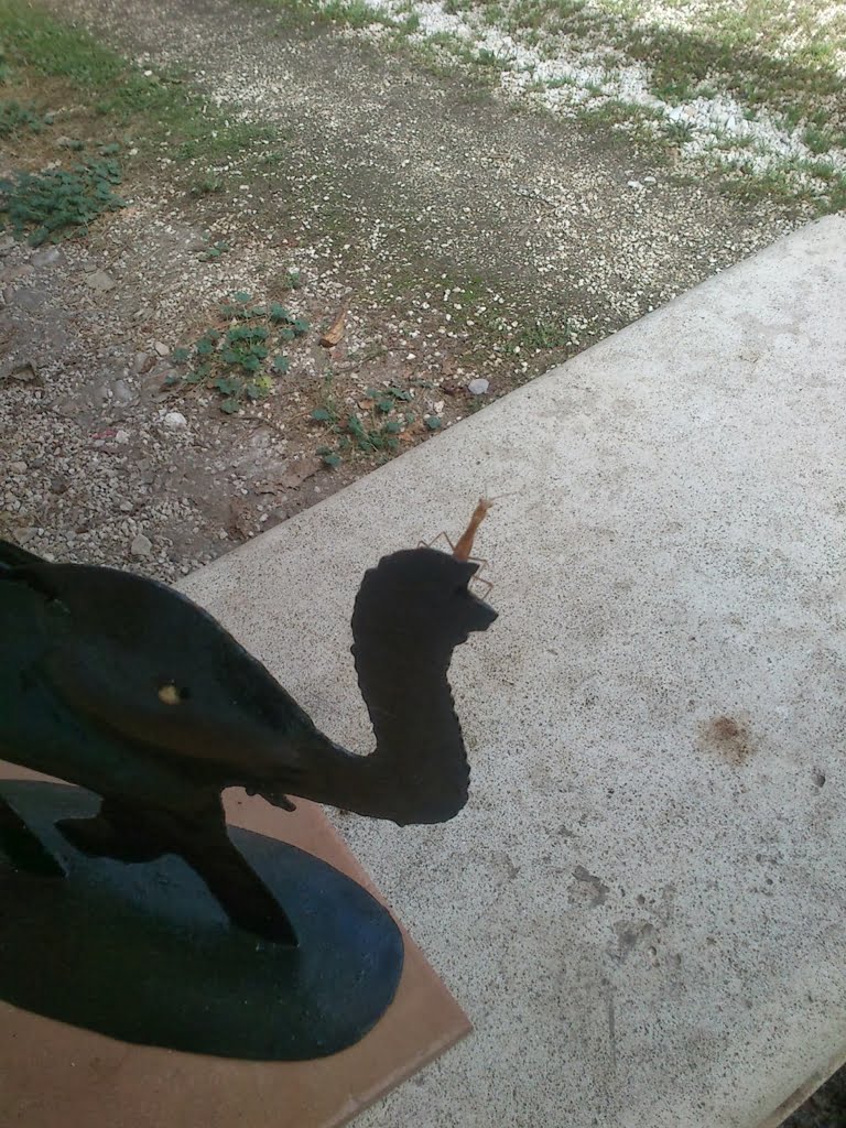 Praying Mantis01a