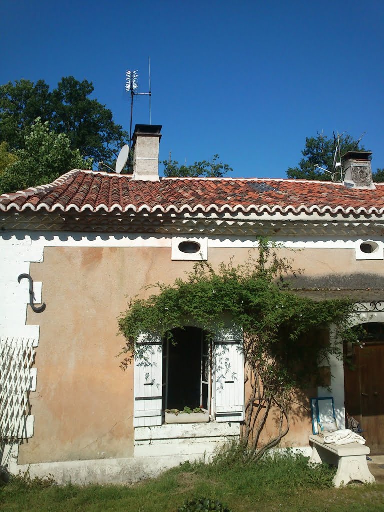 Roof - new01a