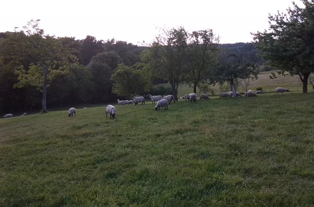 For once, rain would be appreciated