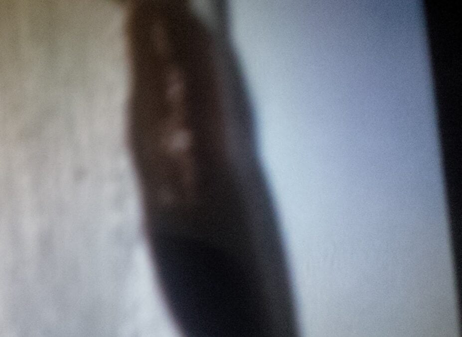 A little worry left behind