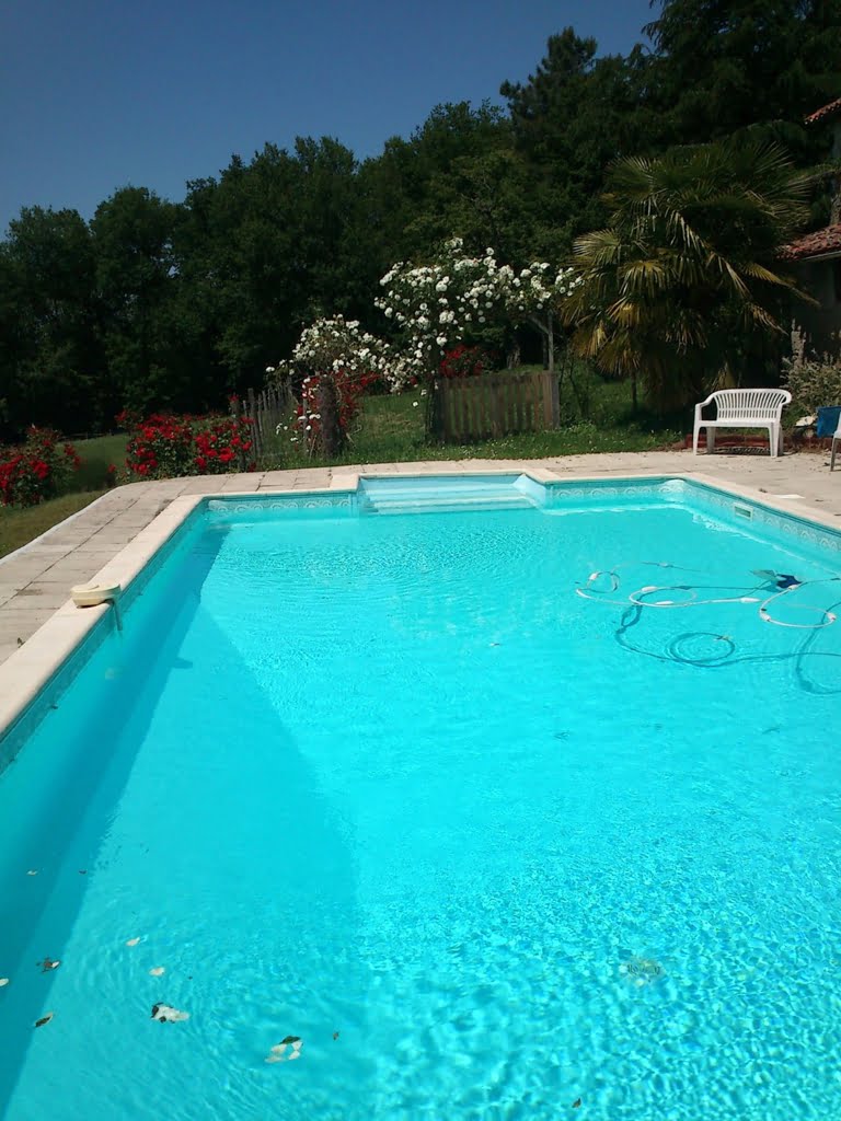 Swimming Pool02a