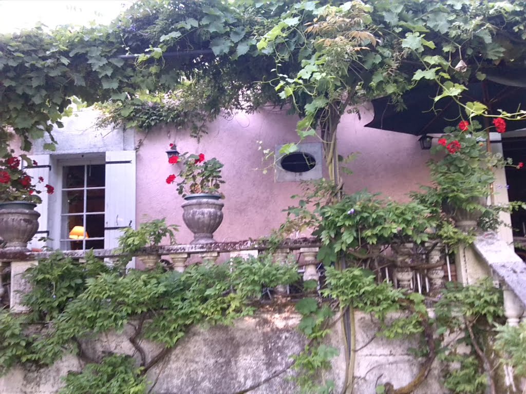Terrace01a