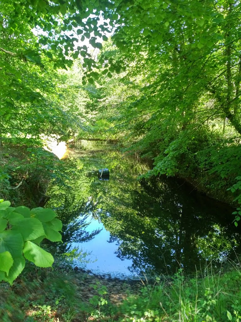 The Black Pond01a