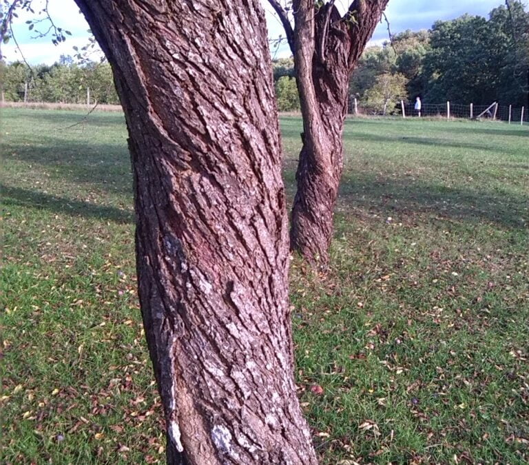 Autumn arrives, in boots