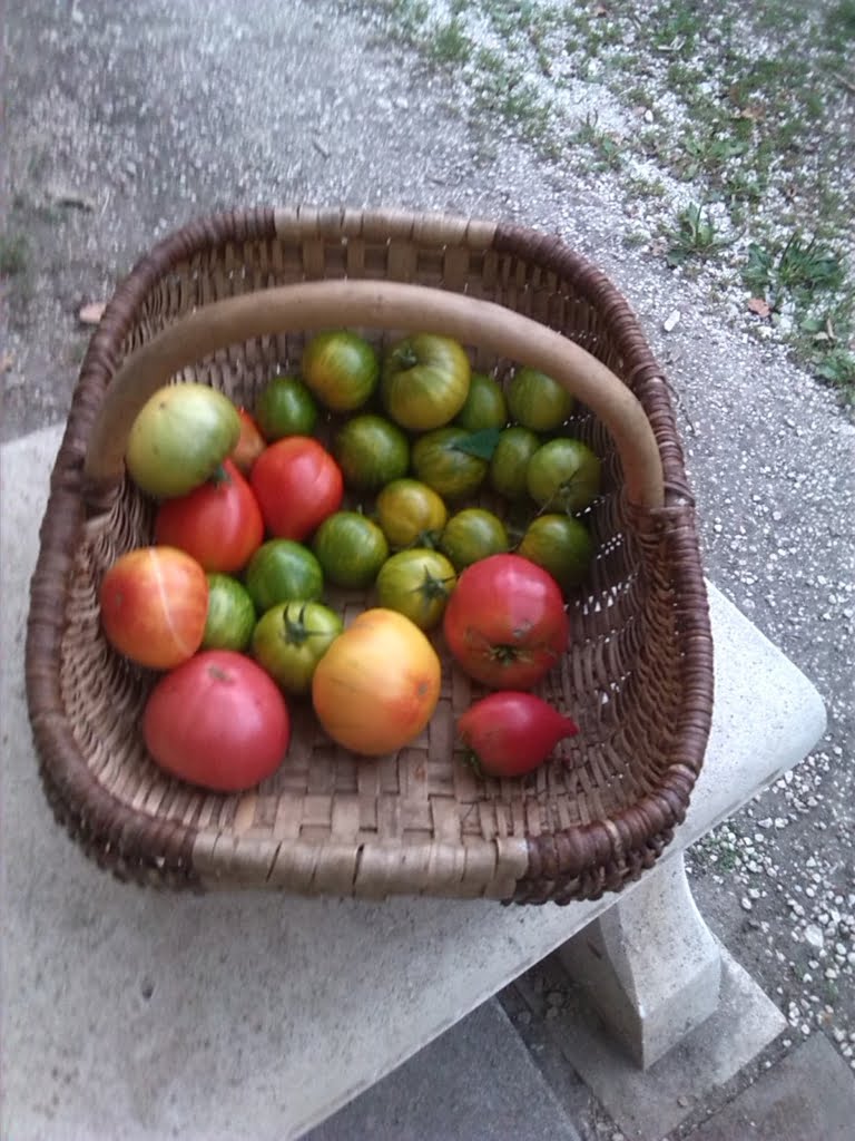 Veggie Jungle Produce01a