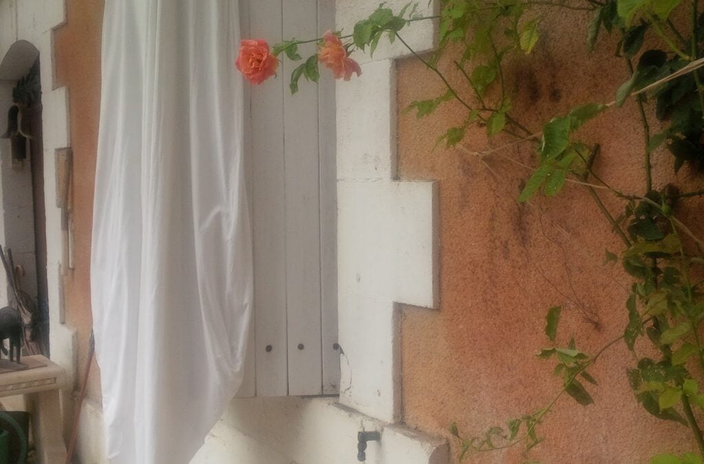 Dog days in the Dordogne