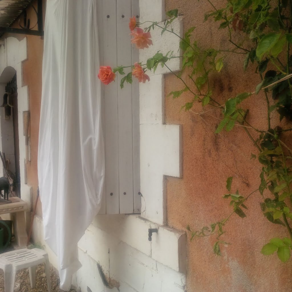 Wet sheet on shutters01a